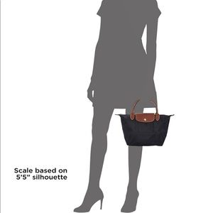 Longchamp Paris purse